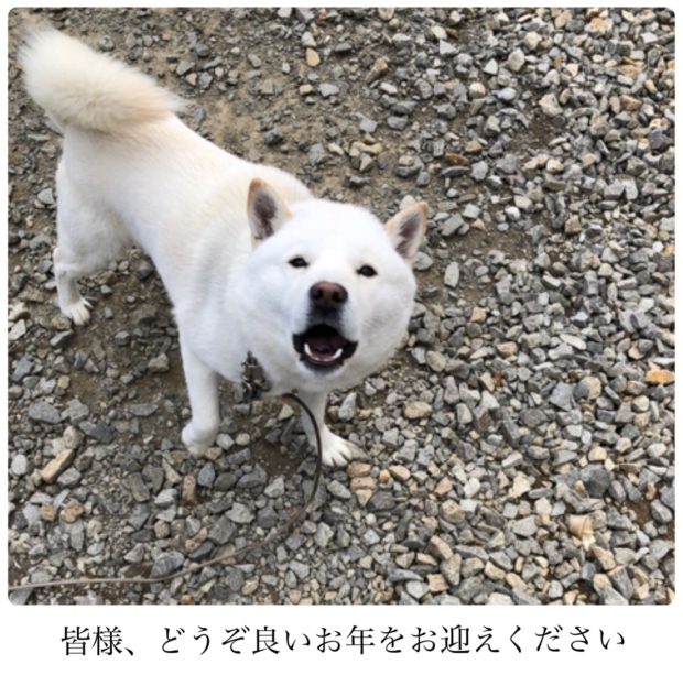 yamato%e6%96%b0%e5%b9%b4